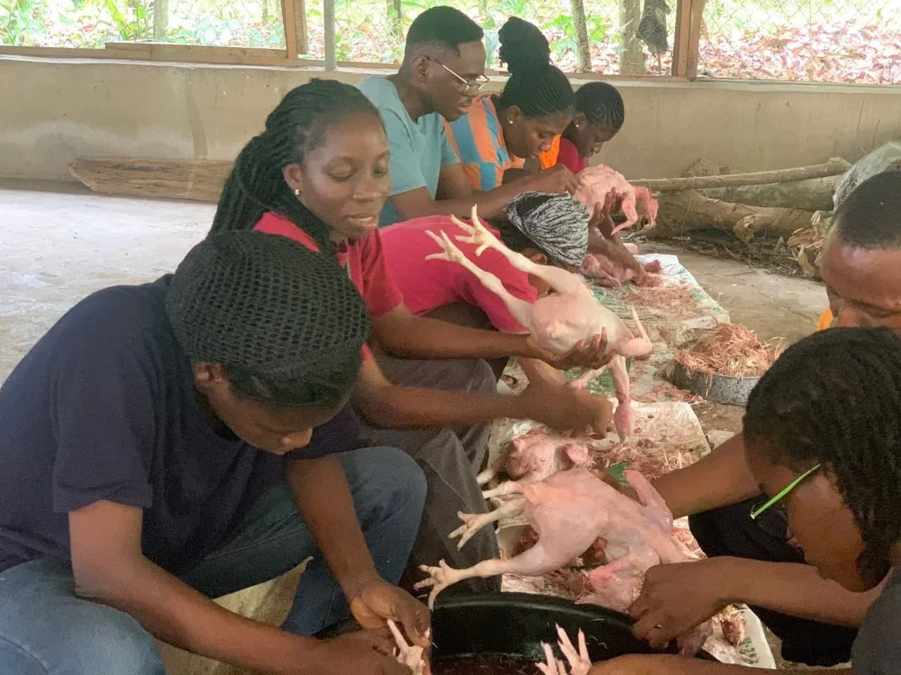 Participants learning poultry processing at the BRV Farm Camp